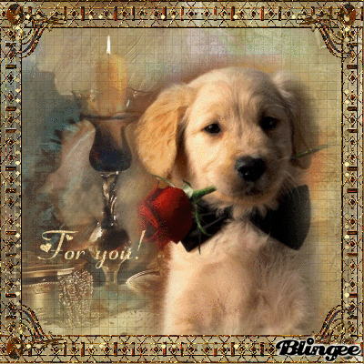 for you! for you!