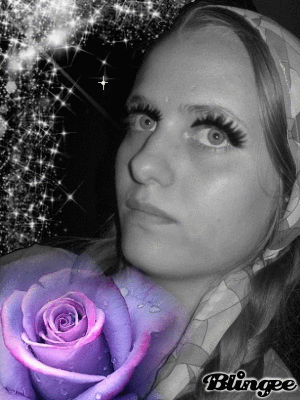 Rose bloom