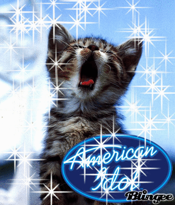 Cat Idol