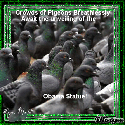 pigeon obama pigeon obama