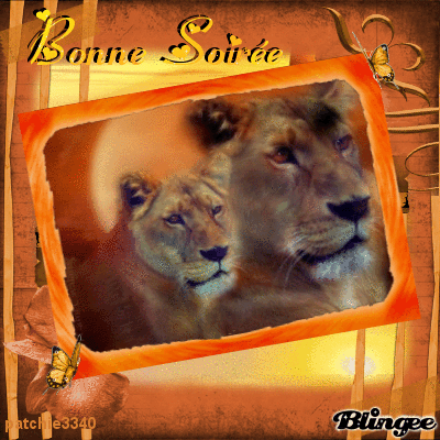 BONNE SOIREE LIONS