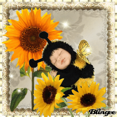 Baby Sunflower Picture #112937542 | Blingee.com