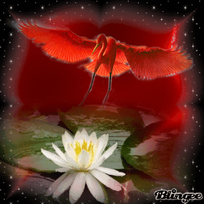 kdo pour mon amie Nelly