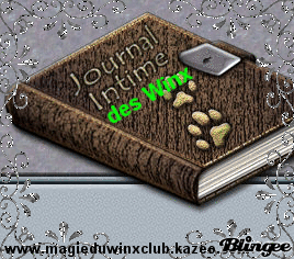 Journal intime
