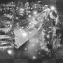 Background black white fantasy 