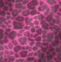 PINK LEOPARD BG B75