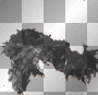 black feather boa