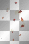 Autumn leaves deco