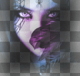Spider woman,blue/purple.©Ƹ̵̡Ӝ̵̨̄Ʒ...hïρρÿсhïсќ33
