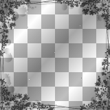 Frame flowers overlay