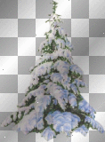 Tree Tree