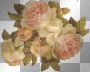 vintage roses ms vintage roses ms