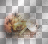 edward cullen bella swan quote kiss ©dK