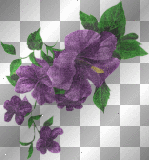 deco fleurs violette transparent printemps -c