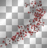 mejserr red leaves bg background