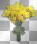 bunch of freesia by b16