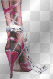 ladies shoe