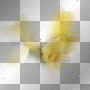 flowers b16