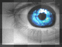 Blue Eye