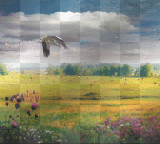 PAYSAGE D'ETE