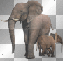 sa