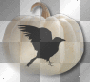 Pumpkin white bird crow halloween