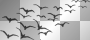 black birds - melarocks_stamps
