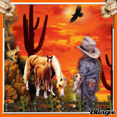 DANS LE DESERT OUEST-AMERICAIN