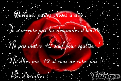 Rose sur fond noir pour tigre5 qsj