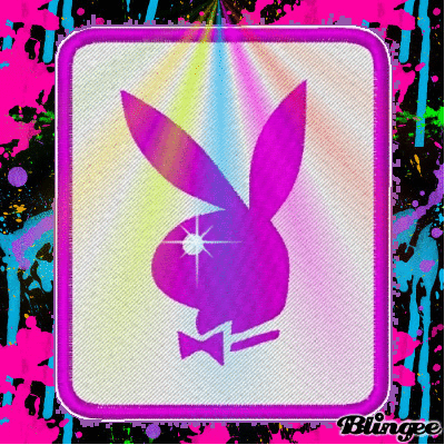 Playboy Hase Playboy Hase