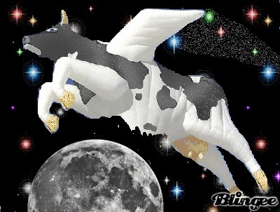 631778519_69622.gif