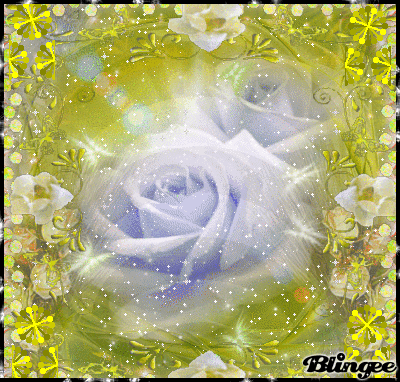 blume Picture #114210312 | Blingee.com