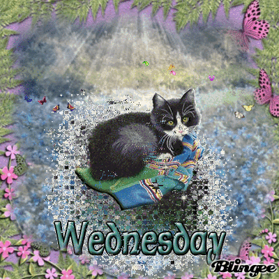 651399506_2000142.gif