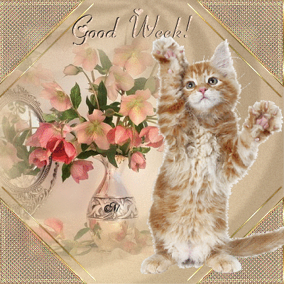 good week my friends!!! good week my friends!!!