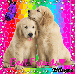 best friend puppies puppies best friends multicolor picture 114334923 blingee best friend puppies puppies best friends multicolor picture 114334923 blingee