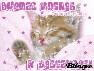 Https Encrypted Tbn0 Gstatic Com Images Q Tbn 3aand9gcqvbommhinj2 Zxvhrig4fy6of0a Xfbubigw Usqp Cau