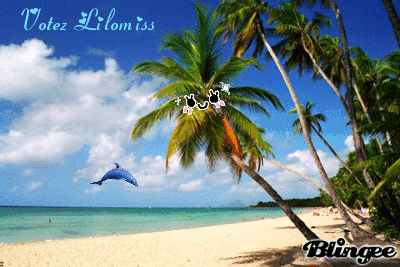 Votez Lilomiss Votez Lilomiss