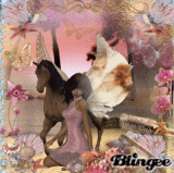 Fairy & Pegasus on the Beach (PDB #2)
