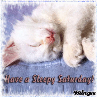 saturday