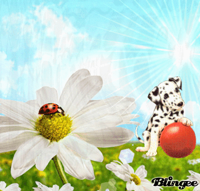 wünsch dir einen schönen sonntag Bild #114635129 | Blingee.com