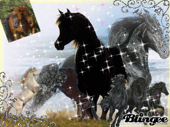 Immagine Cavallo Arabo 114675200 Blingee Com