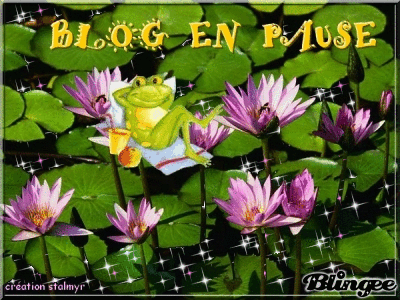 Grenouille nénuphar B
