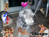 fille sexy love