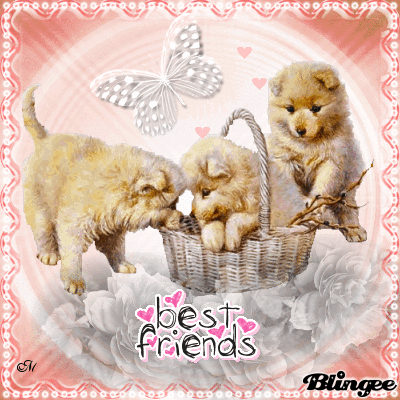 Best friends Best friends