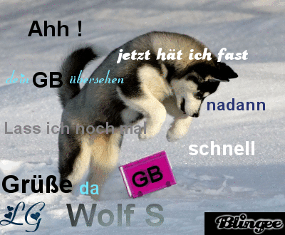 Wolf S Gastebuch Spruch Picture 115002631 Blingee Com