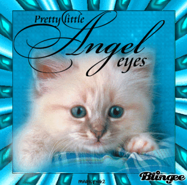 PRETTY LITTLE ANGEL EYES 