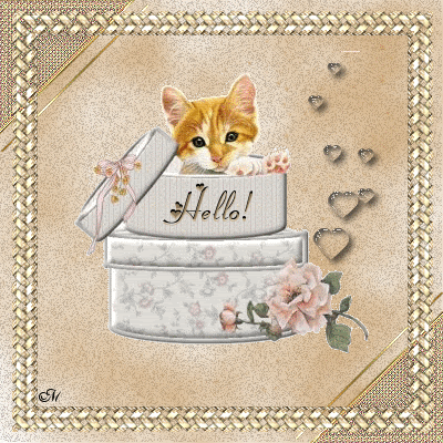 Hello! Hello!