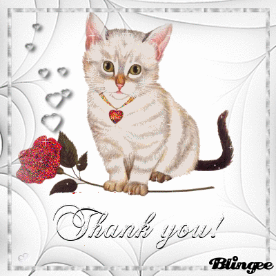 Thank you! Thank you!