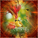 LES OISEAUX challenge