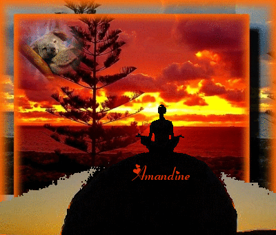 amandine en Australie sur son gros rocher